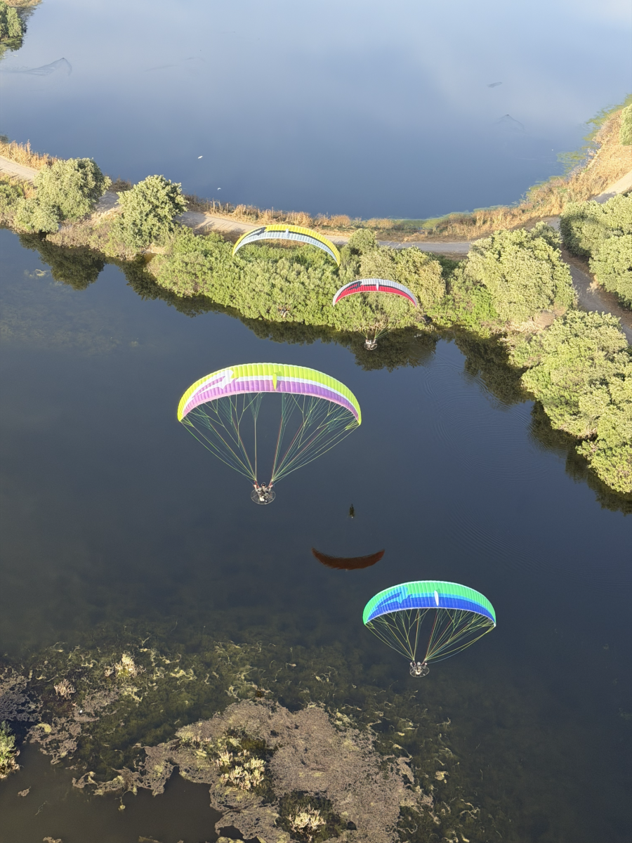APCO F3 MKII – aile de paramoteur d'APCO Aviation en vol (image 9)