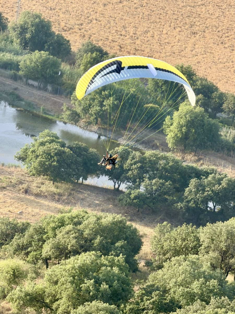 APCO F3 MKII – aile de paramoteur d'APCO Aviation en vol (image 17)