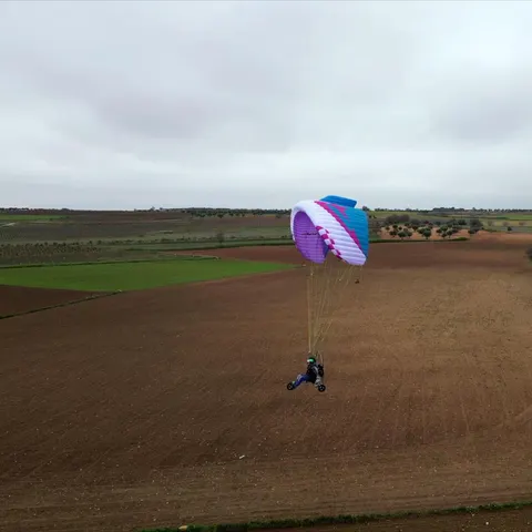 APCO F5 – paramotor wing by APCO Aviation in flight (image 19)