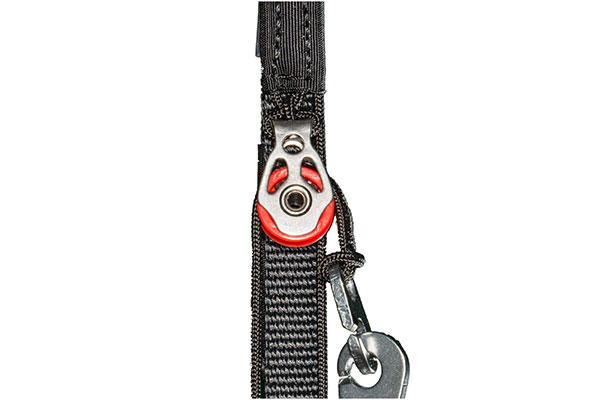 APCO Hybrid Paramotor – EN-B aile de paramoteur d'APCO Aviation en vol (image 30)
