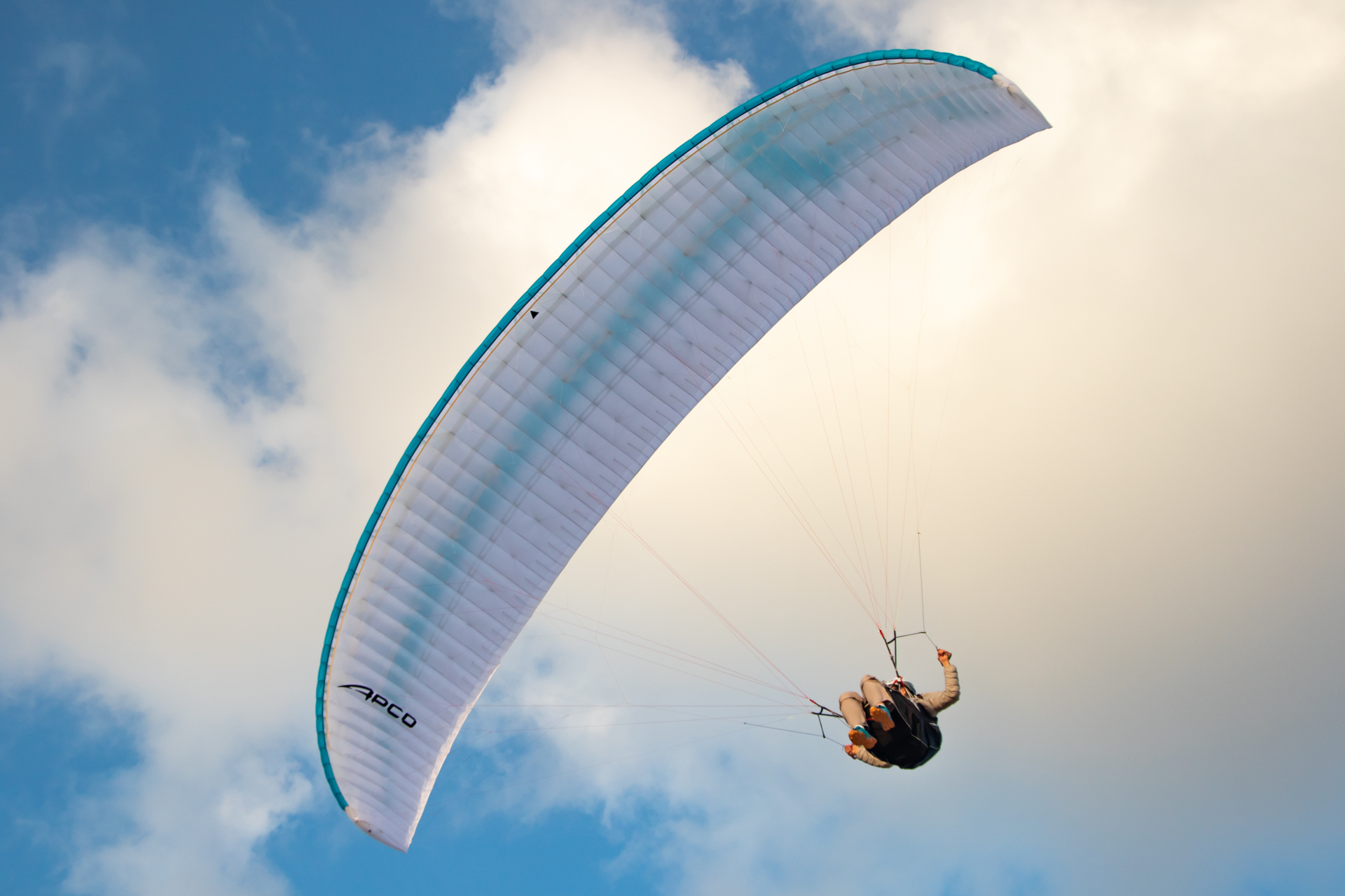 APCO Nestra Light High-EN-B-Gleitschirm — Kappe von unten