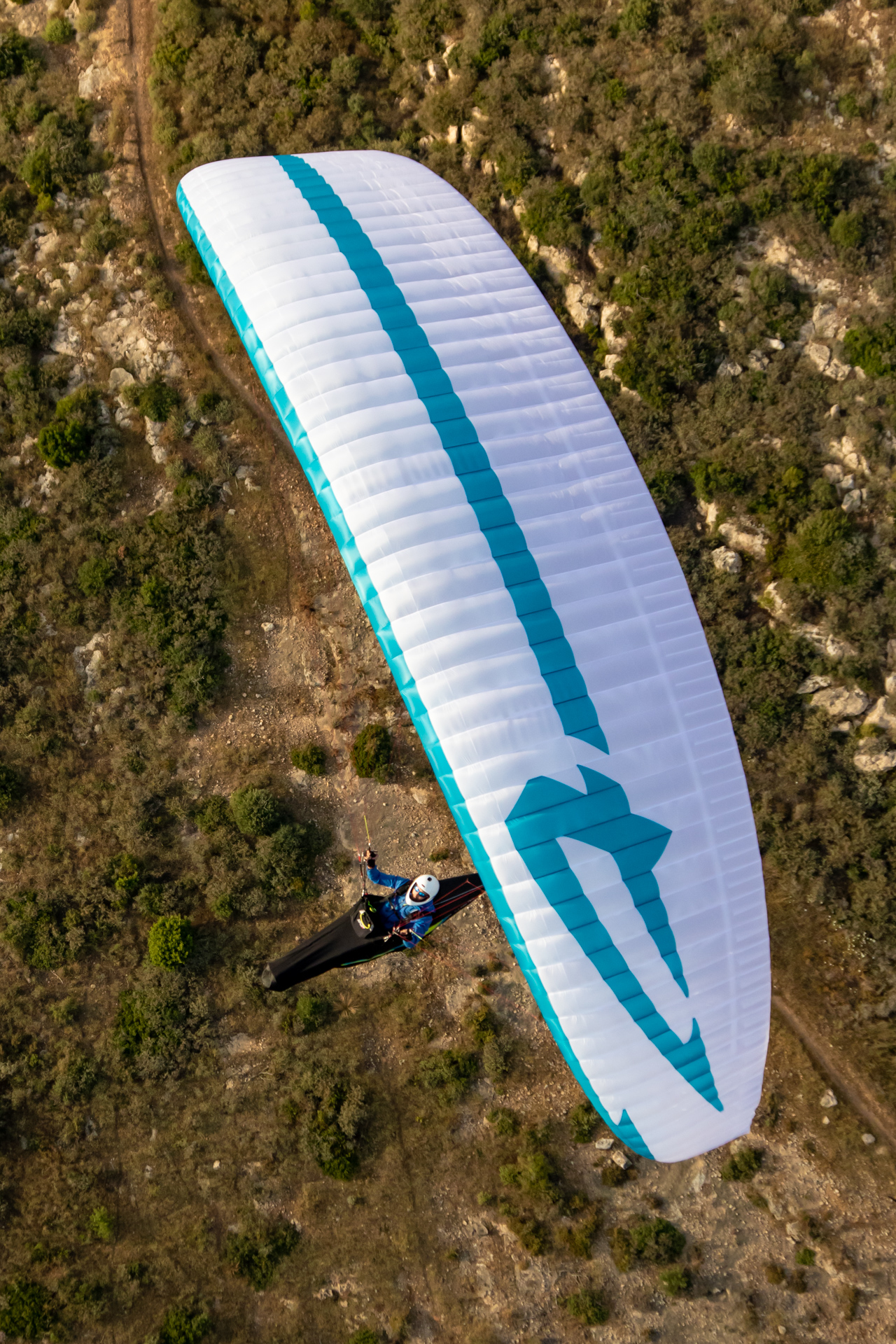 APCO Nestra Light High-EN-B-Gleitschirm — Thermikflug
