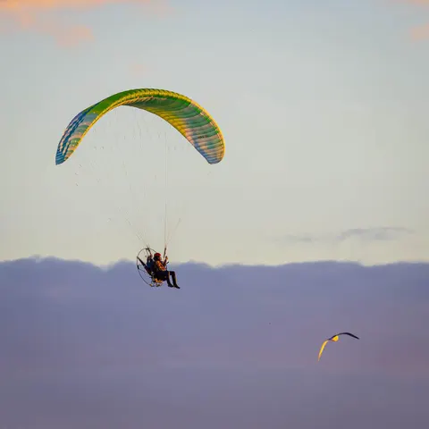 APCO NRG III – paramotor wing by APCO Aviation in flight (image 9)