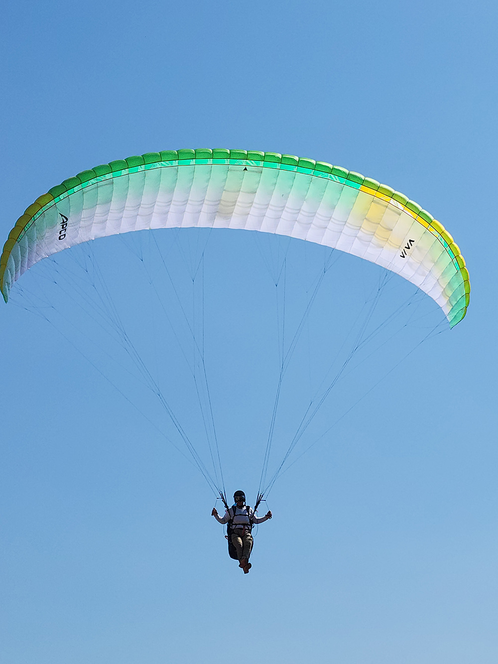 APCO Viva parapente EN-A – en vol sur fond de ciel bleu